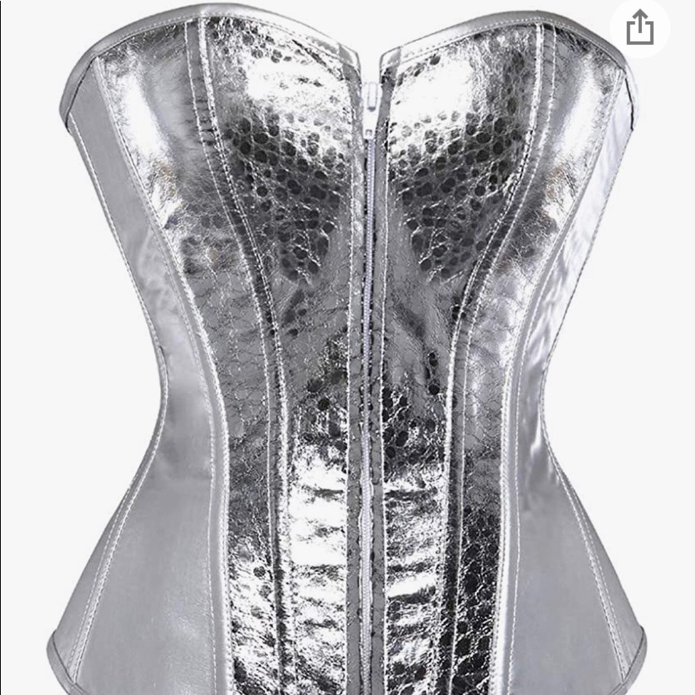 Punk Rock Faux Leather Zipper Corset Retro Goth Waist Cincher Basque Bustier